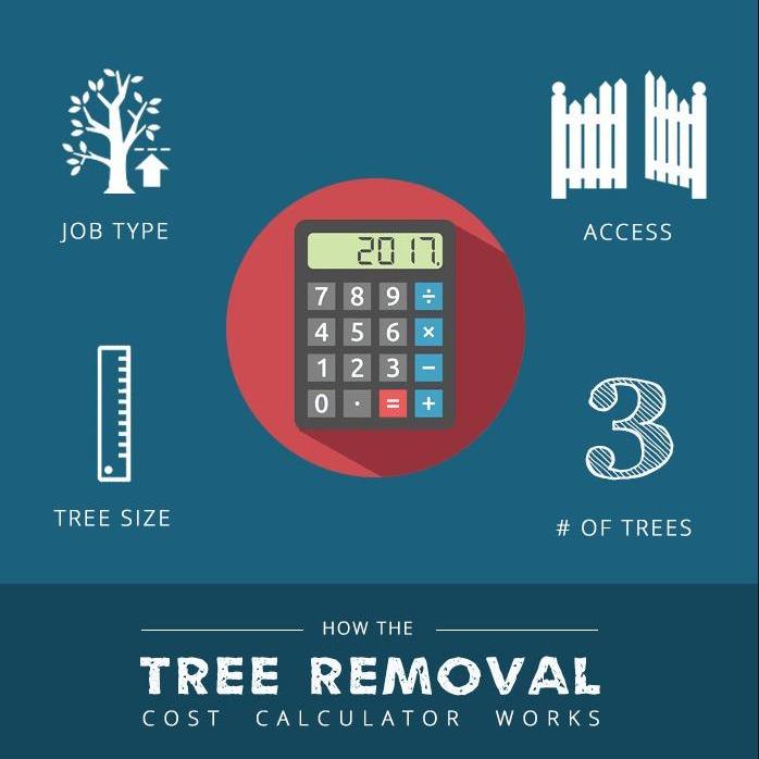 treeremoval